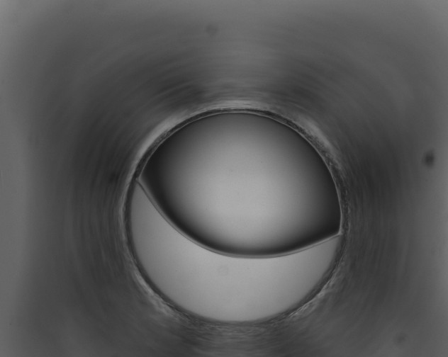 X0000090441181200707131024