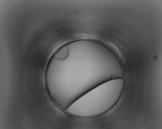 X0000090441182200707131024