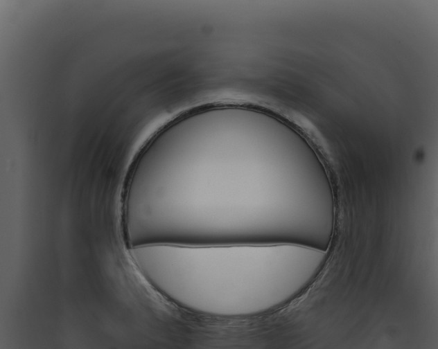 X0000090441183200707131024