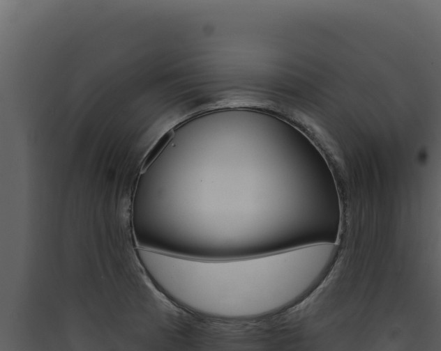 X0000090441185200707131024