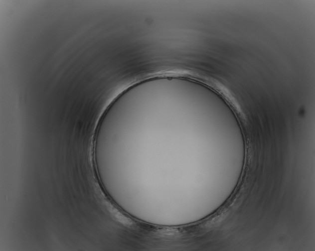 X0000090441186200707131024
