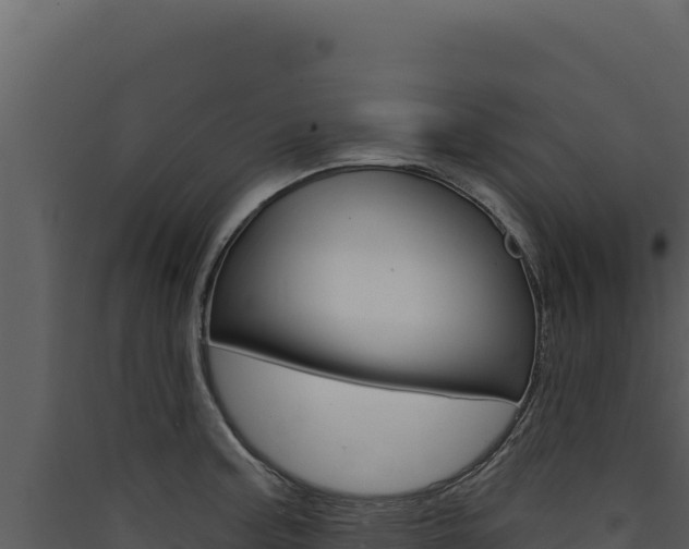 X0000090441187200707131023
