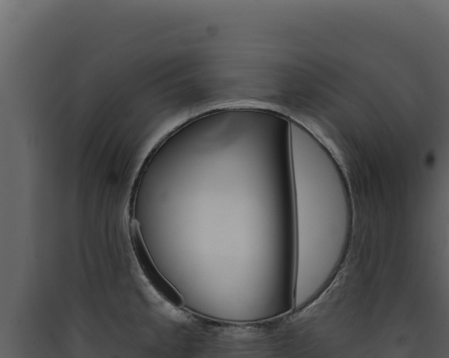 X0000090441189200707131023