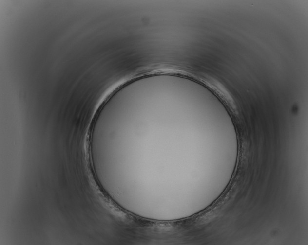X0000090441190200707131023