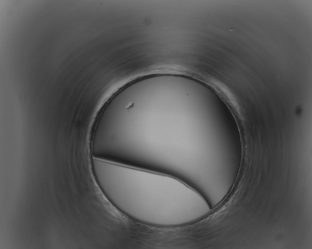 X0000090441192200707131023