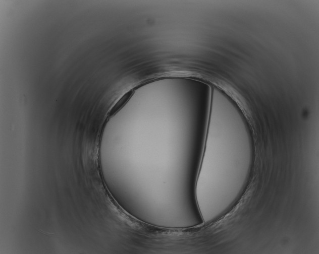 X0000090441193200707131023