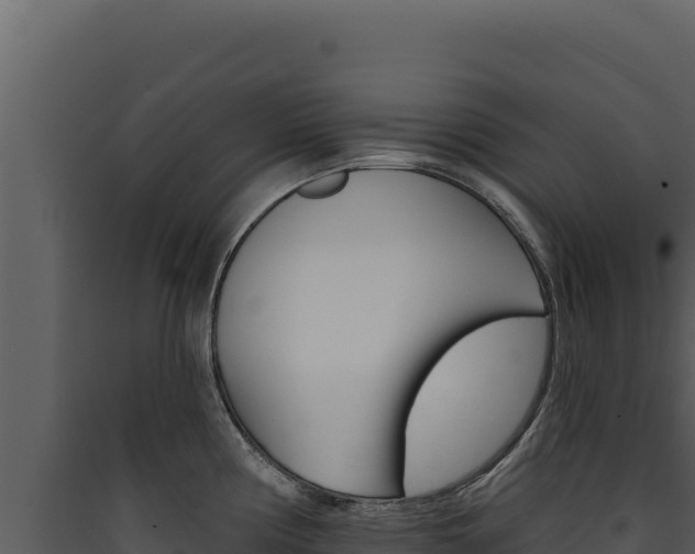 X0000090441194200707131023