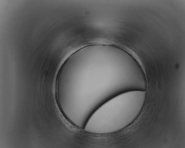 X0000090441195200707131023