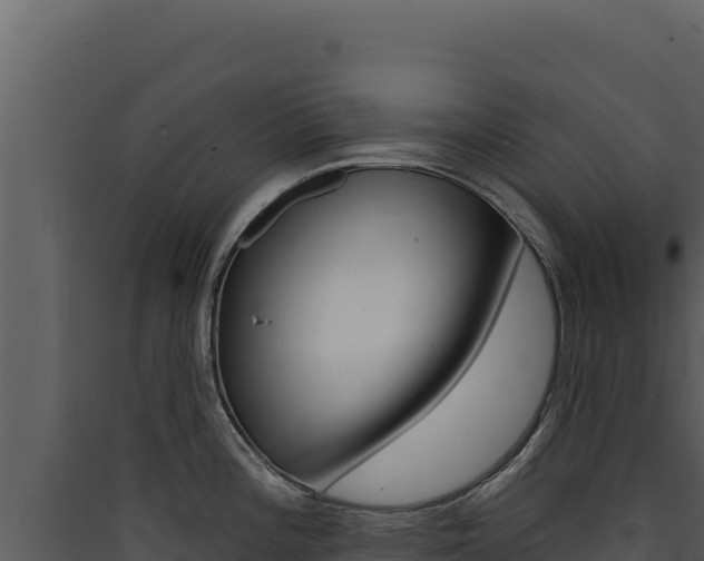 X0000090441196200707131023