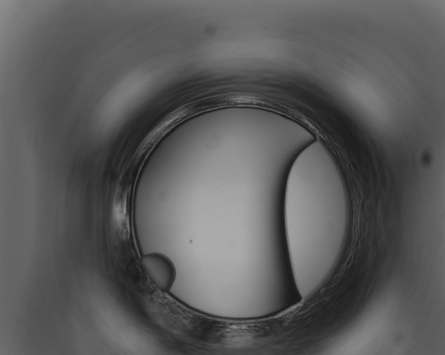 X0000090441198200707131023