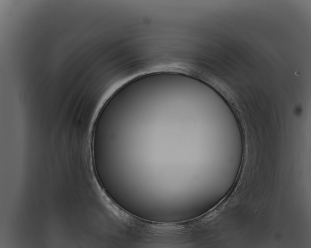 X0000090441200200707131023