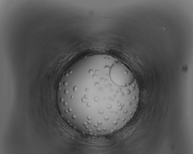 X0000090441201200707131023