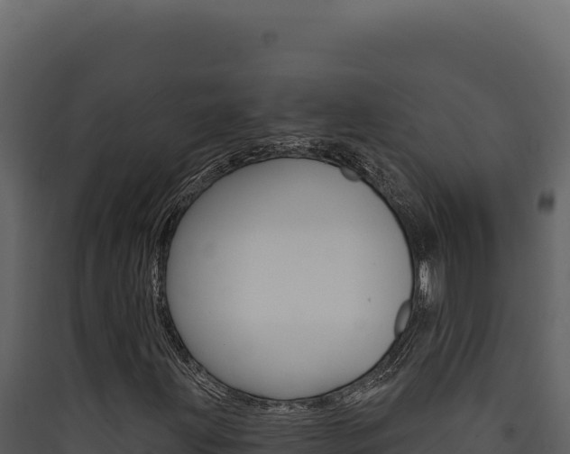 X0000090441203200707131023
