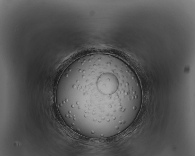 X0000090441205200707131023