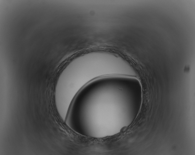 X0000090441206200707131023