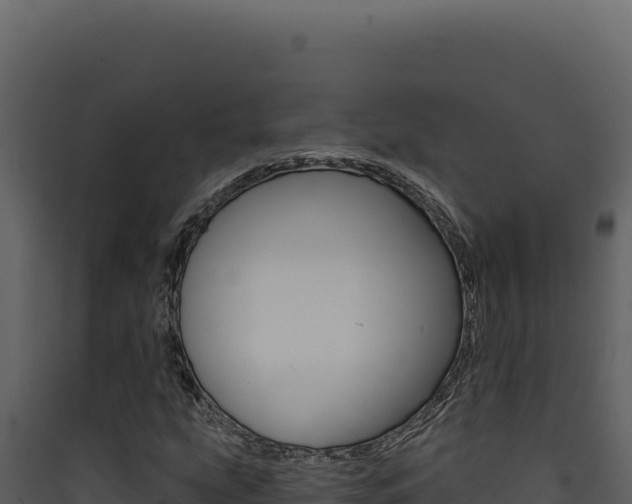 X0000090441207200707131023