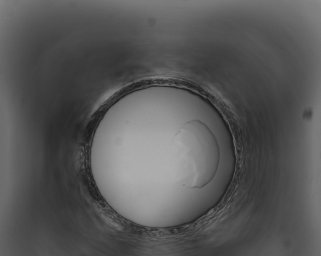 X0000090441208200707131023
