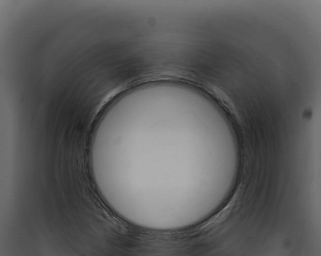 X0000090441210200707131023