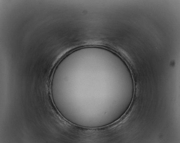 X0000090441212200707131023