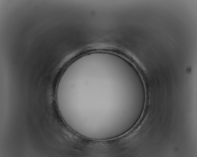X0000090441213200707131023