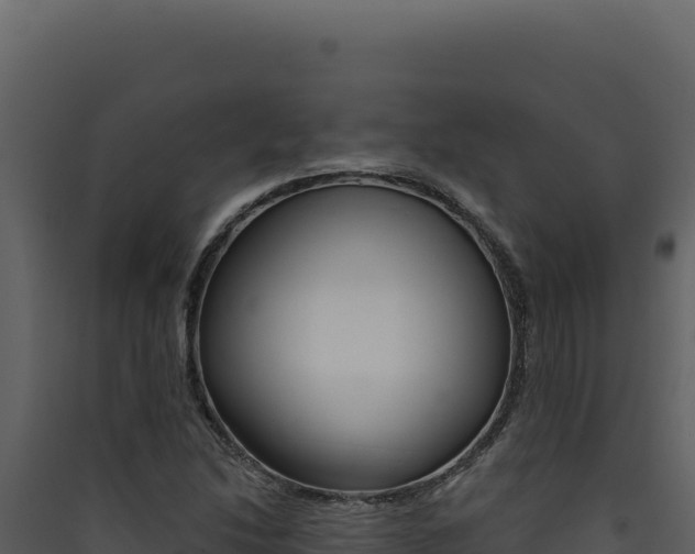 X0000090441214200707131023