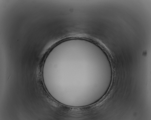 X0000090441215200707131023