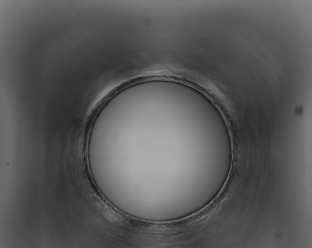 X0000090441216200707131023