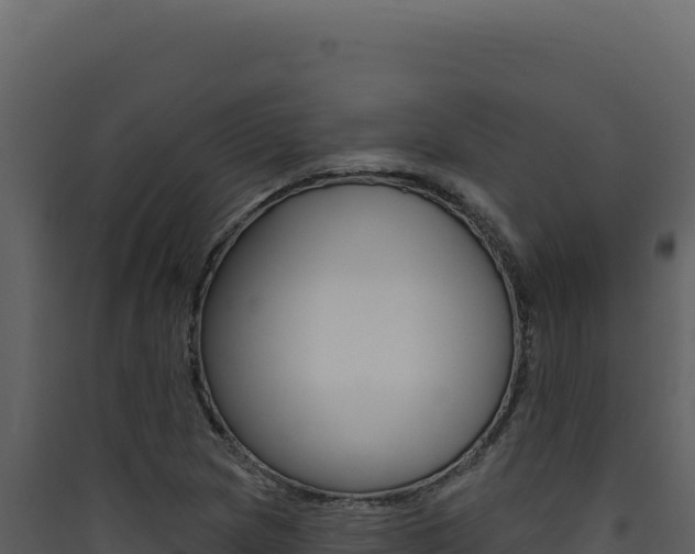 X0000090441217200707131023