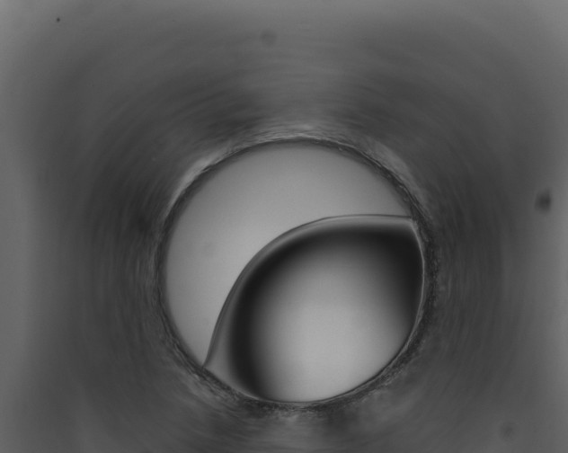 X0000090441218200707131023