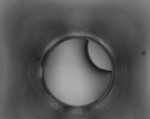 X0000090441221200707131023