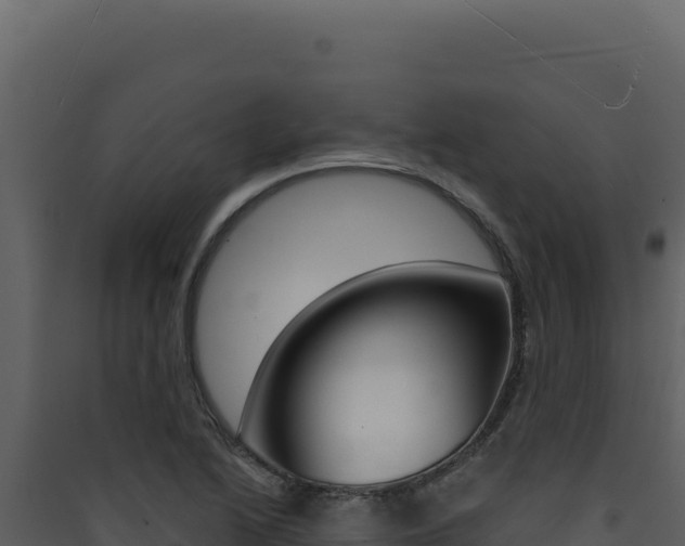 X0000090441222200707131023