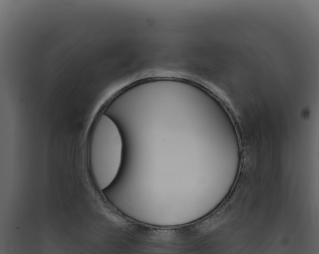 X0000090441223200707131023