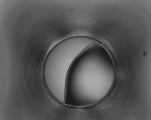 X0000090441226200707131023
