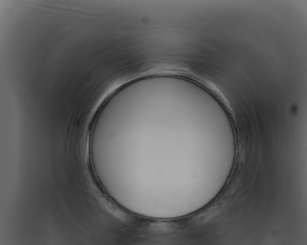 X0000090441227200707131023