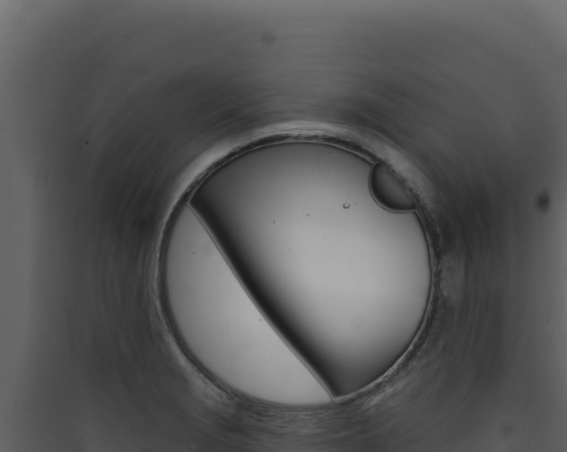X0000090441229200707131023