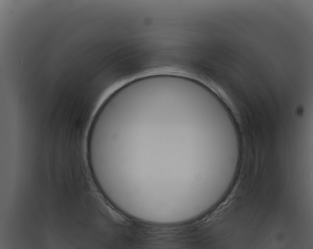 X0000090441230200707131023