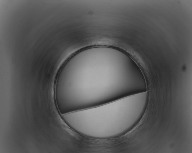X0000090441232200707131023