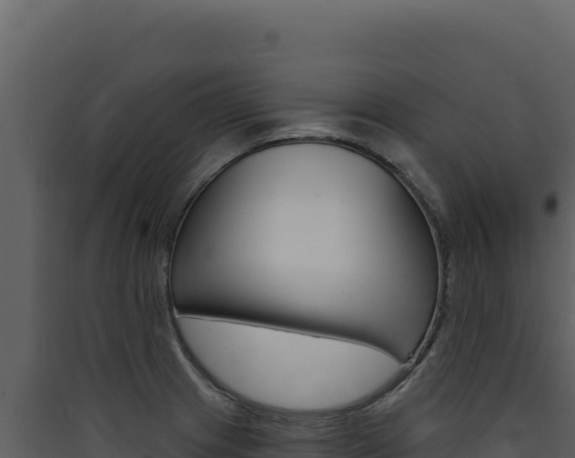 X0000090441233200707131023