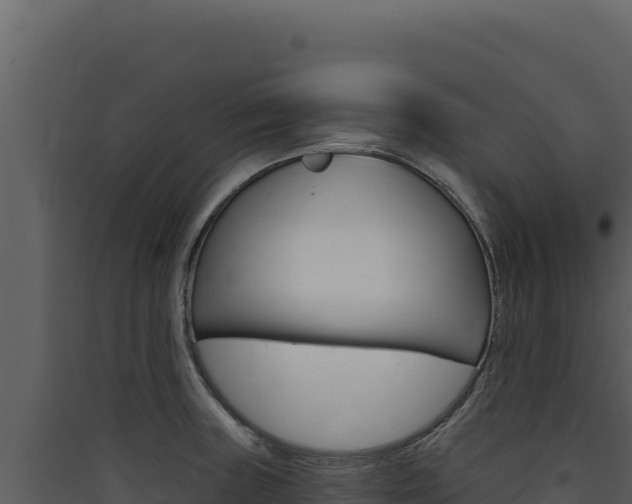 X0000090441235200707131023