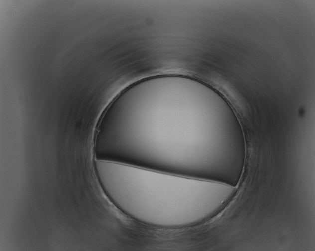 X0000090441236200707131023