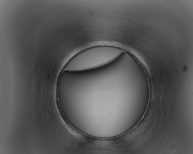 X0000090441237200707131023