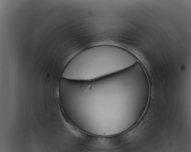 X0000090441241200707131023
