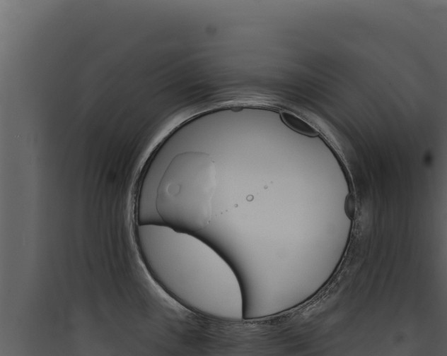 X0000090441243200707131023