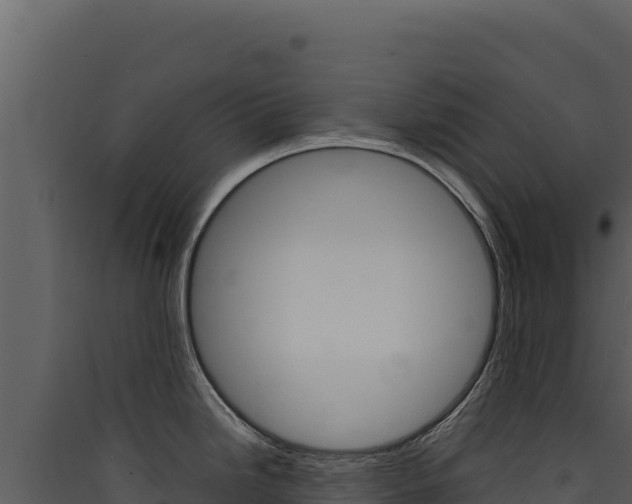 X0000090441246200707131023