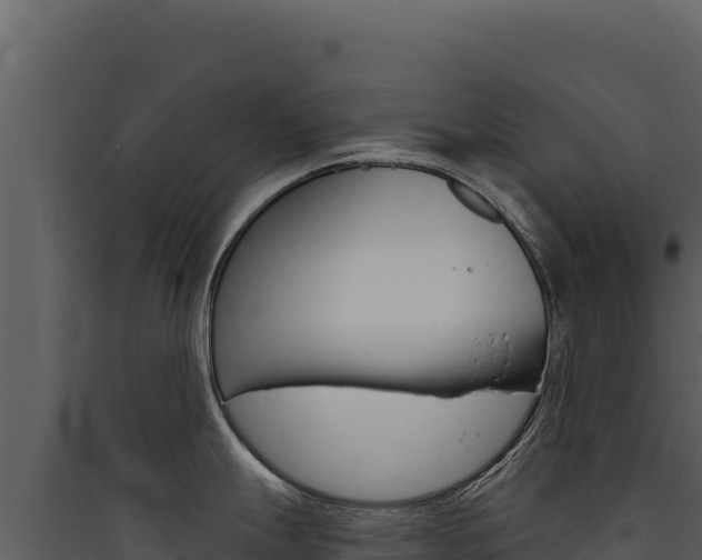 X0000090441247200707131023
