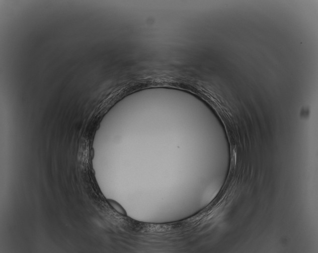 X0000090441251200707131023