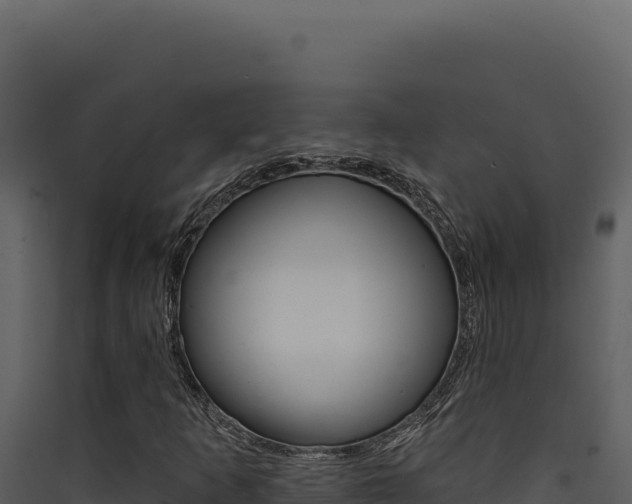 X0000090441253200707131022