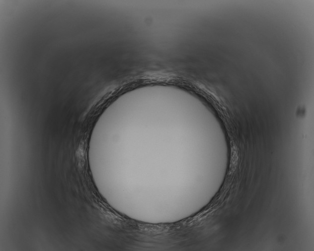 X0000090441254200707131022