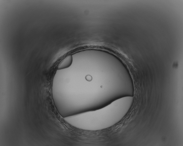 X0000090441255200707131022