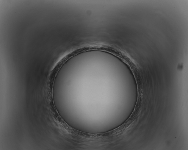 X0000090441256200707131022